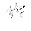 Capoeira