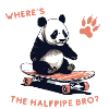 Panda sur un skate