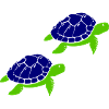 Tortoises