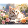 beautiful white cat
