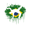 Capoeira Brésil Drapeau