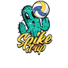 Spike It Up - Cactus