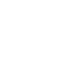 Desert Soul - Cactus