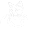 Katzenlinienzauber