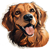 Golden Retriever with Cute Look