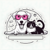 cat and dog