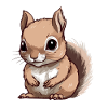 Ali the Baby Squirrel