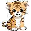 Loko the Tiger Cub