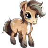 Komo le bébé cheval