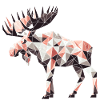 Moose // mosses