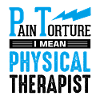 PT Physiotherapy Physiotherapist Job
