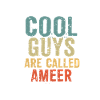 Les mecs cool s’appellent Ameer