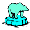 polar bear
