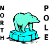 Polar Bear North Pole