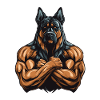 Dog Muscles Fitness Bodybuilding