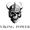 Viking Skul Silver