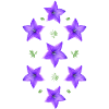 lila Blume - Glockenblume
