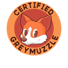 Furry Fandom Fursona Fursuit Dog