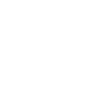 Adrenaline on Four Wheels