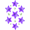 fleur pourpre - campanule
