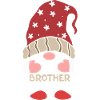 The Brother gnome.