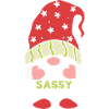 The Sassy gnome.