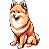 Finnish spitz