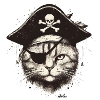 Pirate Cat 3