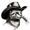 Cowboy Cat