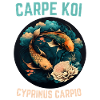 Koi Carp