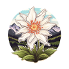 Edelweiss Flower Plant Mountains