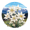 Edelweiss Flower Plant Mountains