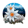 Edelweiss Flower Plant Mountains