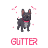 Frenchie Paillettes