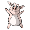 Cochon cochon drôle