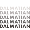 Dalmatian