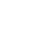 Dalmatian Definition