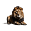 Löwe