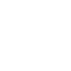 Respect palestine human rights