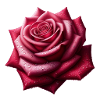 Realistic Rose Design