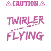 Baton Twirling Baton Twirler Gift