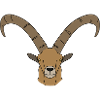 Steinbock