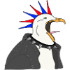 Möwe als Punkrocker