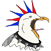 punker möwe