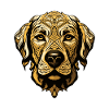 Kangal Dog Head Animal