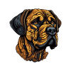 Mastiff Chien Tête Animal
