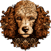 Poodle Dog Head Animal
