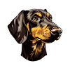 Dachshund Dog Head Dachshund