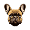 French Bulldog Dog Head