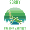 Gottesanbeterin Geschenk Mantis Fangschrecke